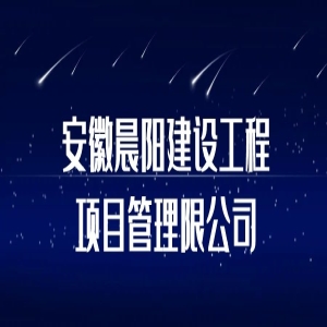 安徽晨阳建设工程项目管理限公司